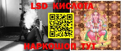 стаф Донской