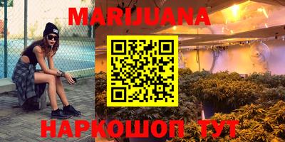 стаф Донской