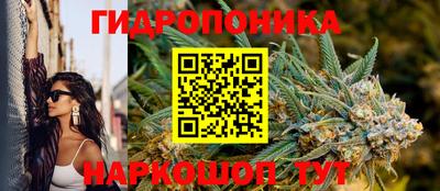 гидра Донецк
