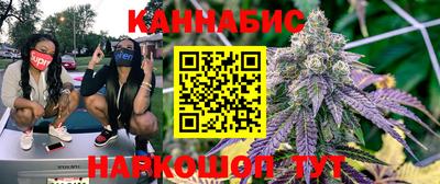 стаф Донской