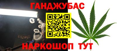 гидра Донецк