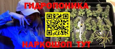 гидра Донецк